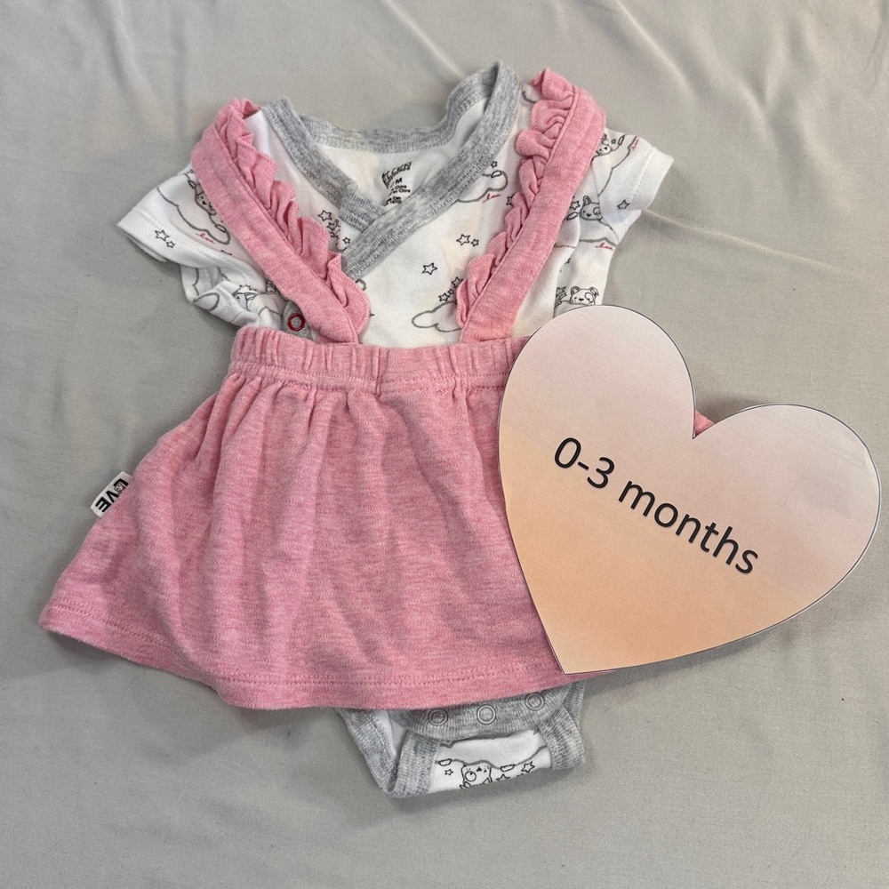 Ellen Degeneres Pink and Gray Baby Outfit - dress and short sleeve onesie